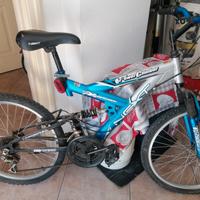 Bicicletta 24 