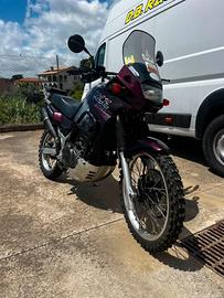 Kawasaki KLE 500 del 1999