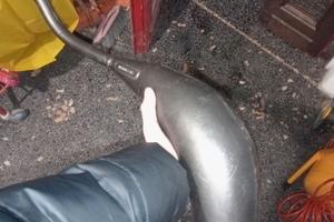 espansione Husqvarna wre sm cr