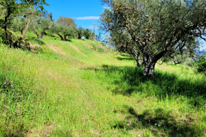 Striscia di terreno 5 mila mq