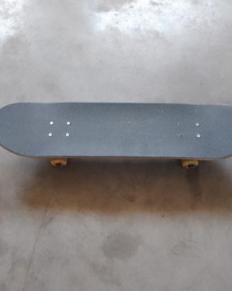 skate board