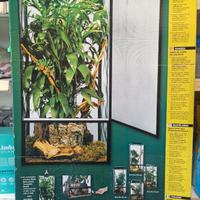 Terrario per rettili