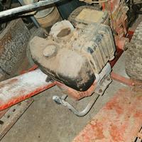 scopatrice barbieri diesel