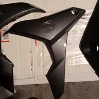 fianchetti  Suzuki GSX s naked 