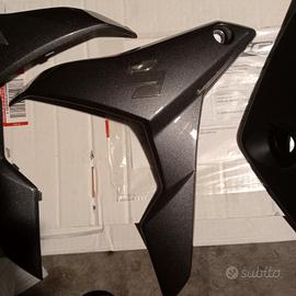 fianchetti  Suzuki GSX s naked 