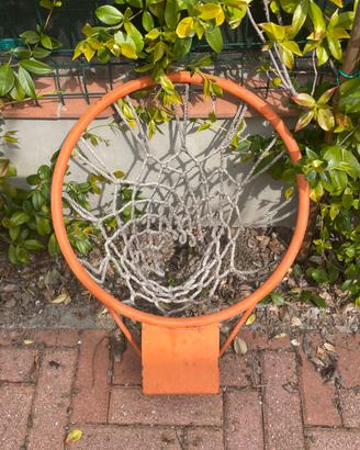 Canestro basket regolamentare