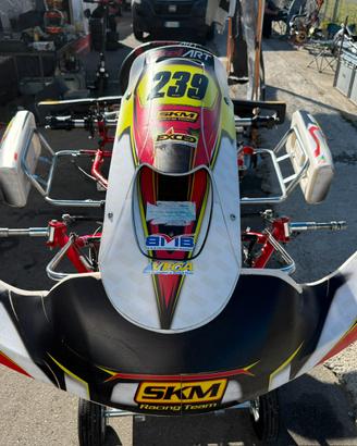 Birel ART R30CY (easy kart)