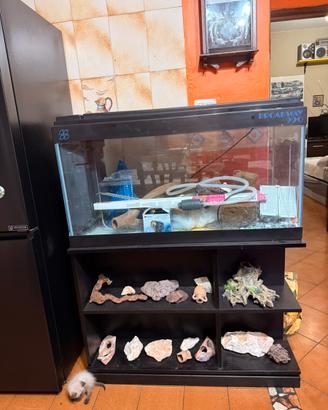 Acquario Broadway 990