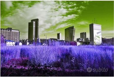 IVAN LATTUADA - stampa fotografica a infrarossi