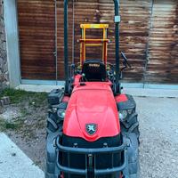 Antonio Carraro modello Tony 10900