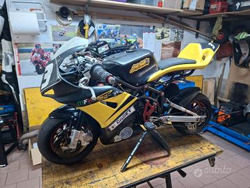 DM 2024 CON MOTORE CS RACING 50CC