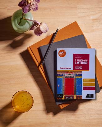 A scuola di latino Grammatica. Seconda Edizione
