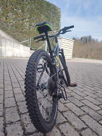 Bici bimbo 20 pollici