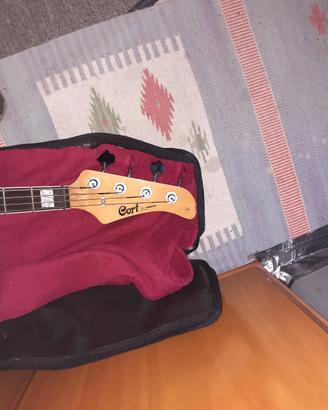 BASSO SEMIPROFESSIONALE