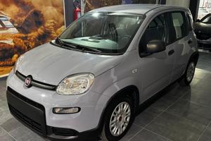 Fiat Panda 1.0 FireFly S&S Hybrid 70cv KM 20'277