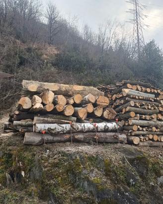 Legna da ardere