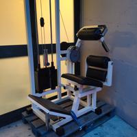 Lower Back Technogym 