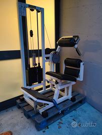 Lower Back Technogym 