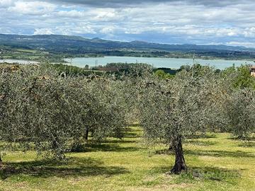 Lotti terreno edificabile esclusivi Umbria Toscana