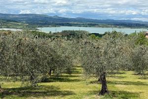 Lotti terreno edificabile esclusivi Umbria Toscana