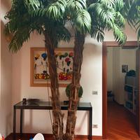 Palme arredamento
