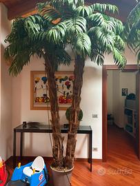 Palme arredamento