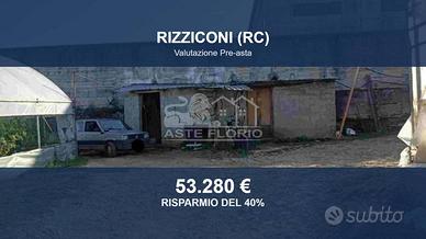 Immobile in asta di 4131 m² a Rizziconi