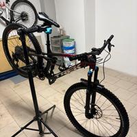 Trek fuel ex 8