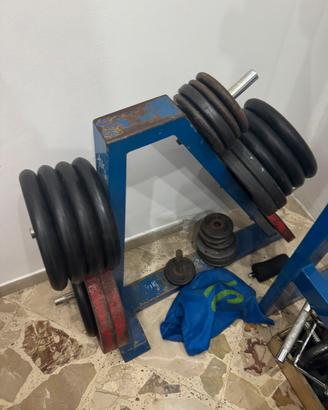 Dischi palestra