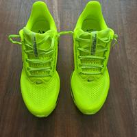 Nike Pegasus Premium