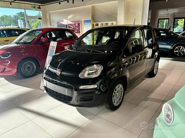 FIAT Pandina 1.0 65cv Hybrid Icon N76188