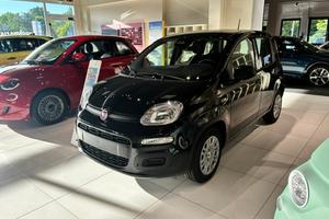 FIAT Pandina 1.0 65cv Hybrid Icon N76188