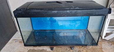acquario 200l 