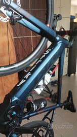 bicicletta elettrica