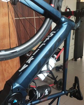 bicicletta elettrica