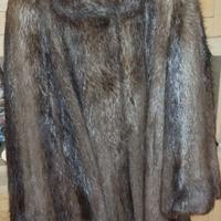 Pelliccia  di castoro