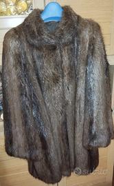Pelliccia  di castoro
