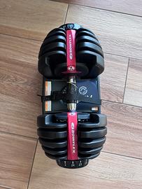 Manubri Bowflex 552i
