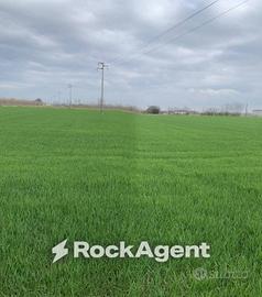 Terreno di 6290 m² a Canneto sull'Oglio