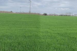 Terreno di 6290 m² a Canneto sull'Oglio