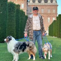 Pastore australiano australian Shepherd per monte