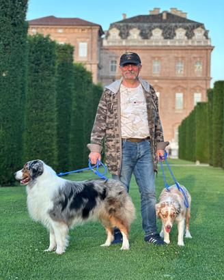 Pastore australiano australian Shepherd per monte