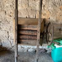 Pigiatrice uva antica