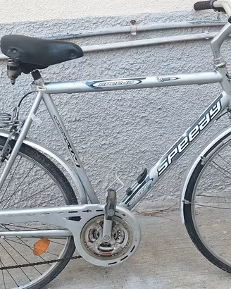 Bicicletta City Bike 