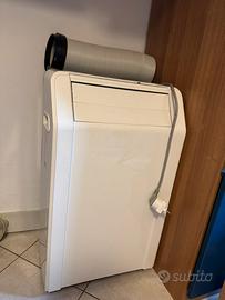 Pinguino condizionatore