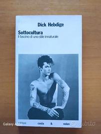 Sottocultura. Il fascino di uno stile innaturale