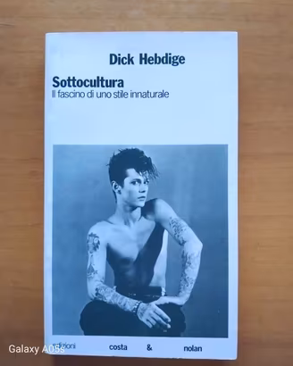 Sottocultura. Il fascino di uno stile innaturale