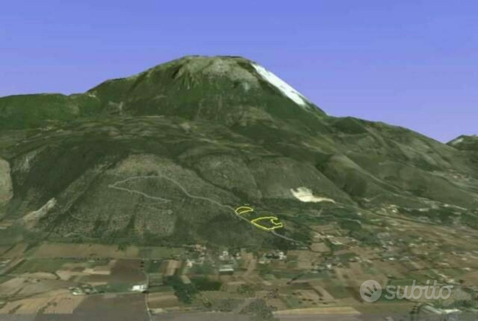 Terreno agricolo zona collinare: Uliveto + bosco - Vista 2