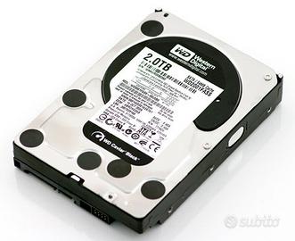 Hard disk Western Digital Caviar Black 2TB