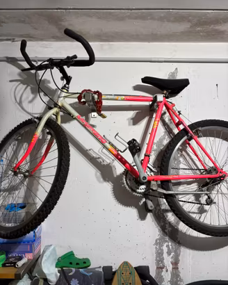 Mountain bike